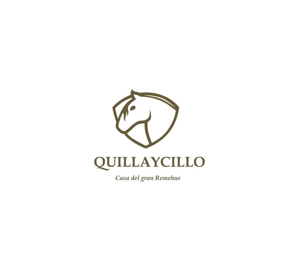 Doctor Marketing | QUILLAYCILLO