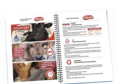 COLUNOTAS 2015