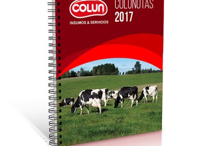 COLUNOTAS 2017