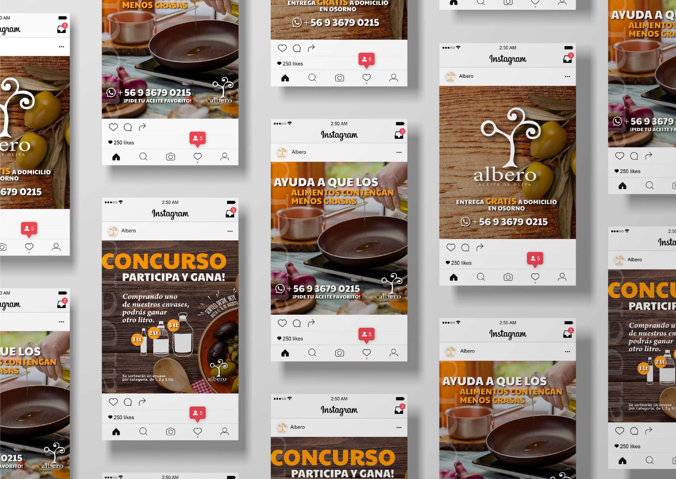 Doctor Marketing | ALBERO DISEÑO DE REDES SOCIALES IV scaled