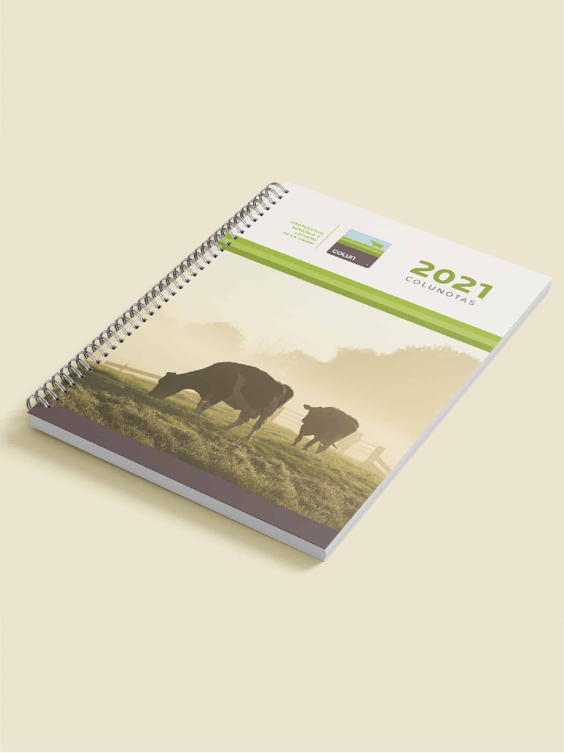 Doctor Marketing | COLUNOTAS 2021 DISEÑO DE TAPA