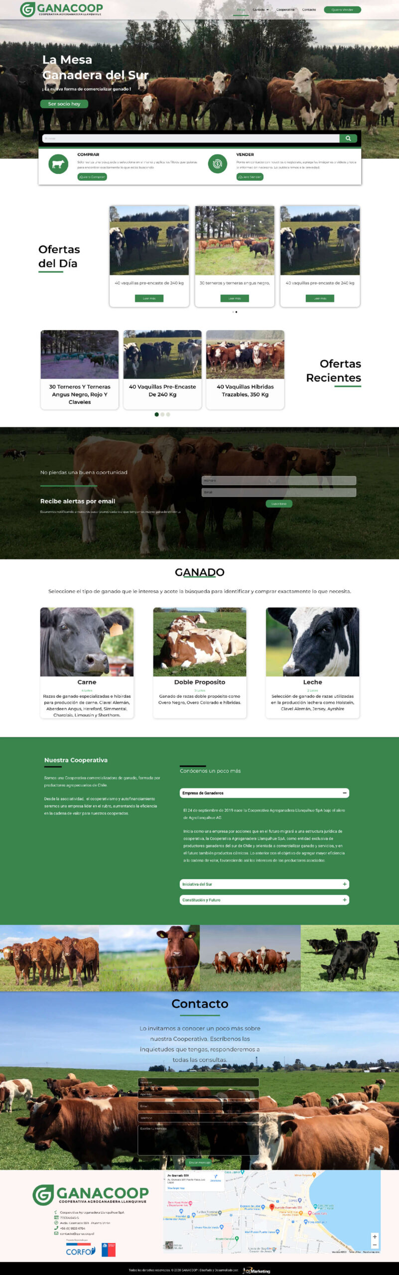 Doctor Marketing | GANACOOP DISEÑO DE PÁGINA WEB HOME scaled