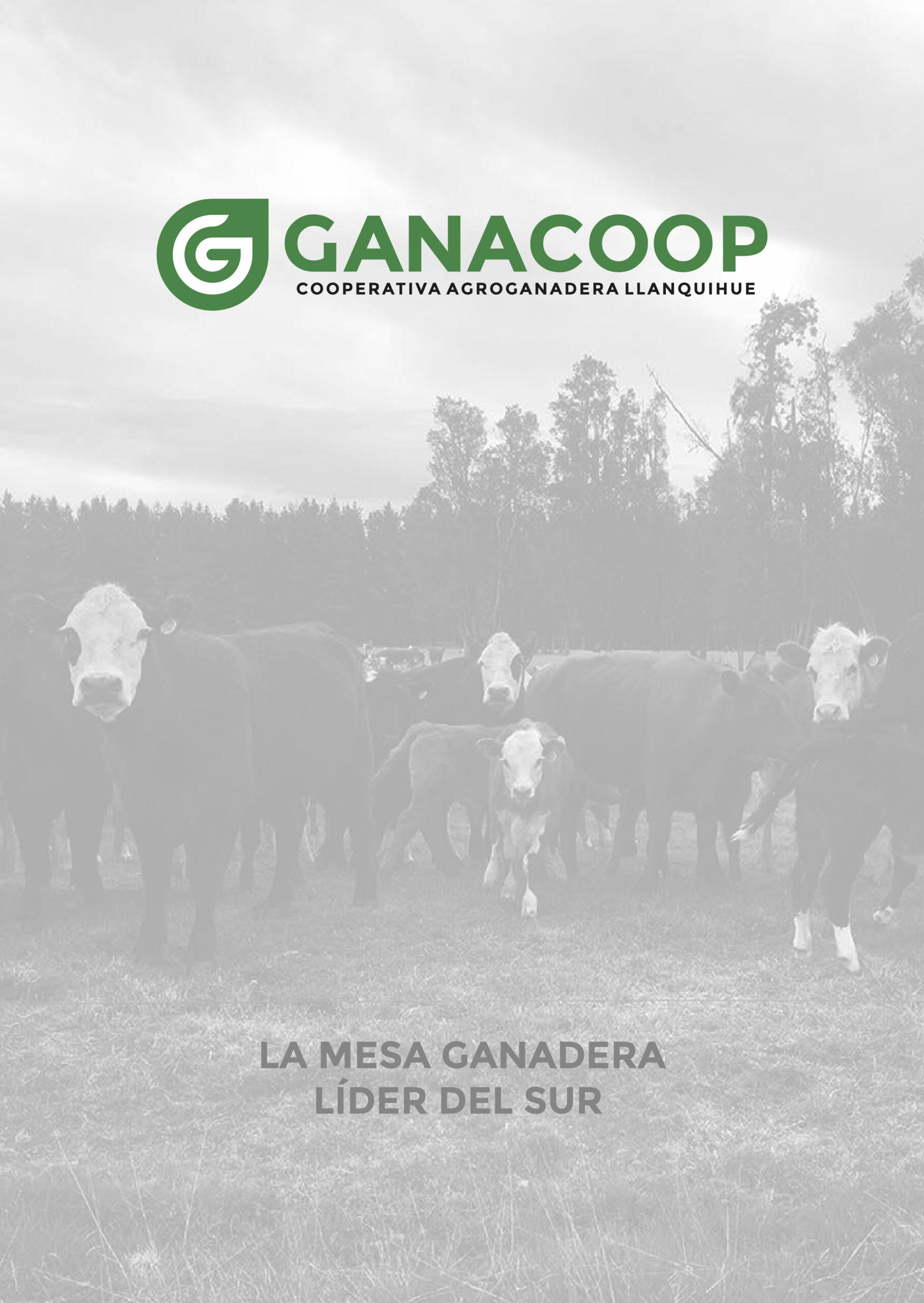Doctor Marketing | GANACOOP scaled