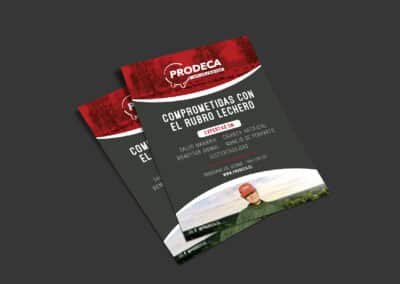 PRODECA - Flyer/Volante