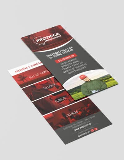 PRODECA - Flyer/Volante