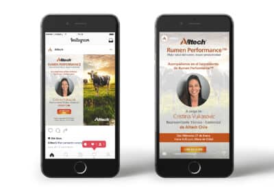 Alltech Diseño de Redes Sociales II