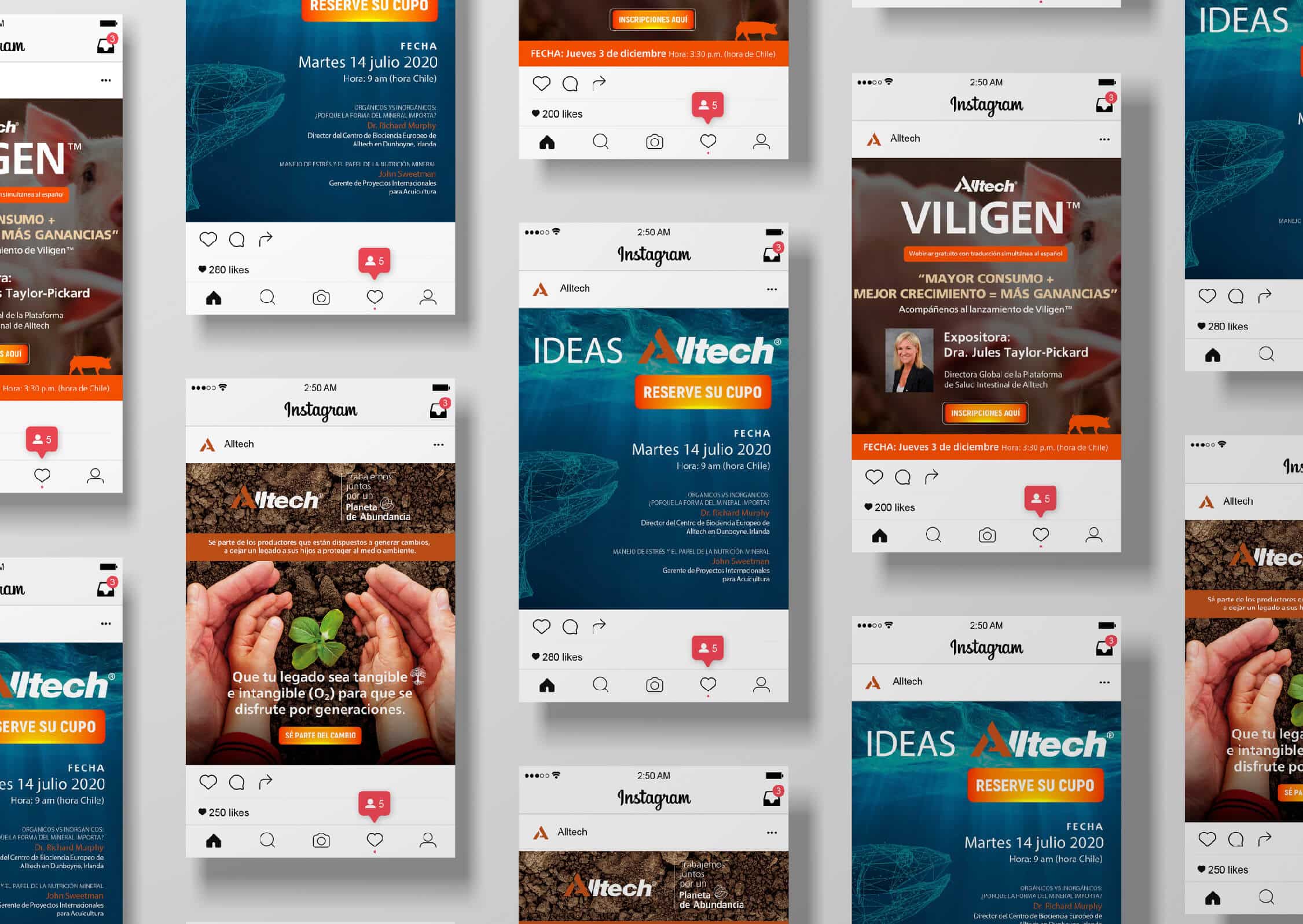 Doctor Marketing | Alltech Diseño de Redes Sociales IV