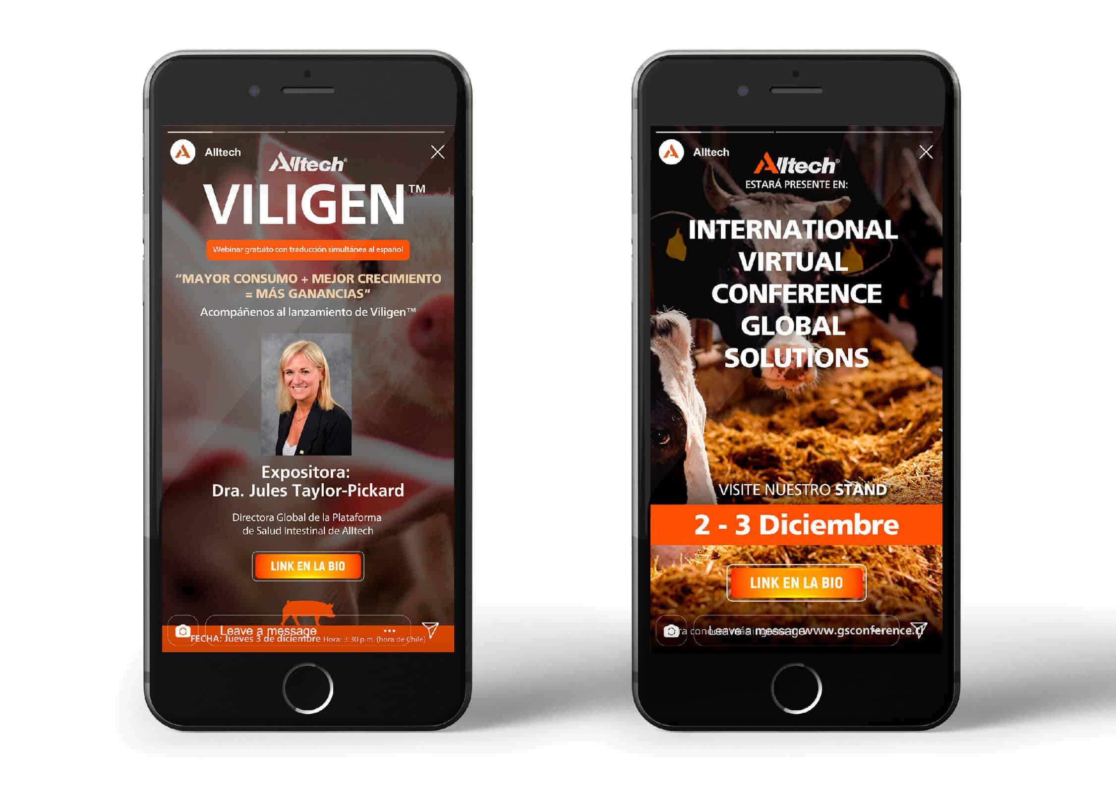 Doctor Marketing | Alltech Diseño de Redes Sociales V