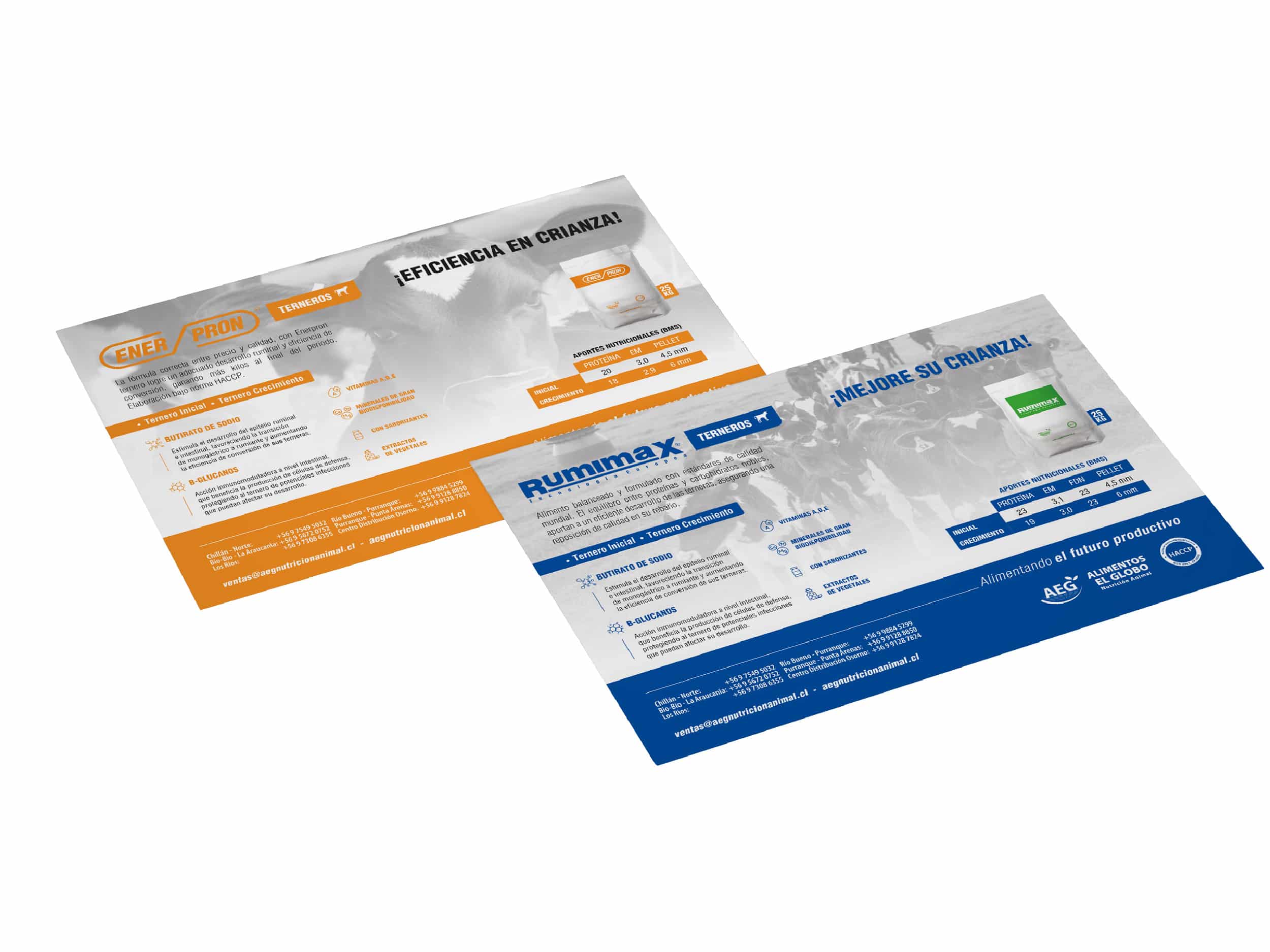 Doctor Marketing | AEG NUTRICION Folleto portfolio 2