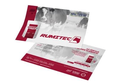 Alimentos el Globo Rumitec Branding Volantes