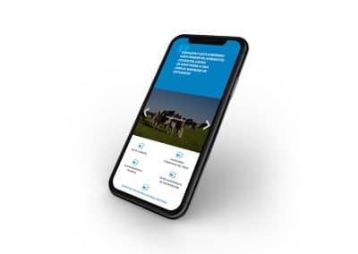 Doctor Marketing | aquasight web movil 2 portfolio 02
