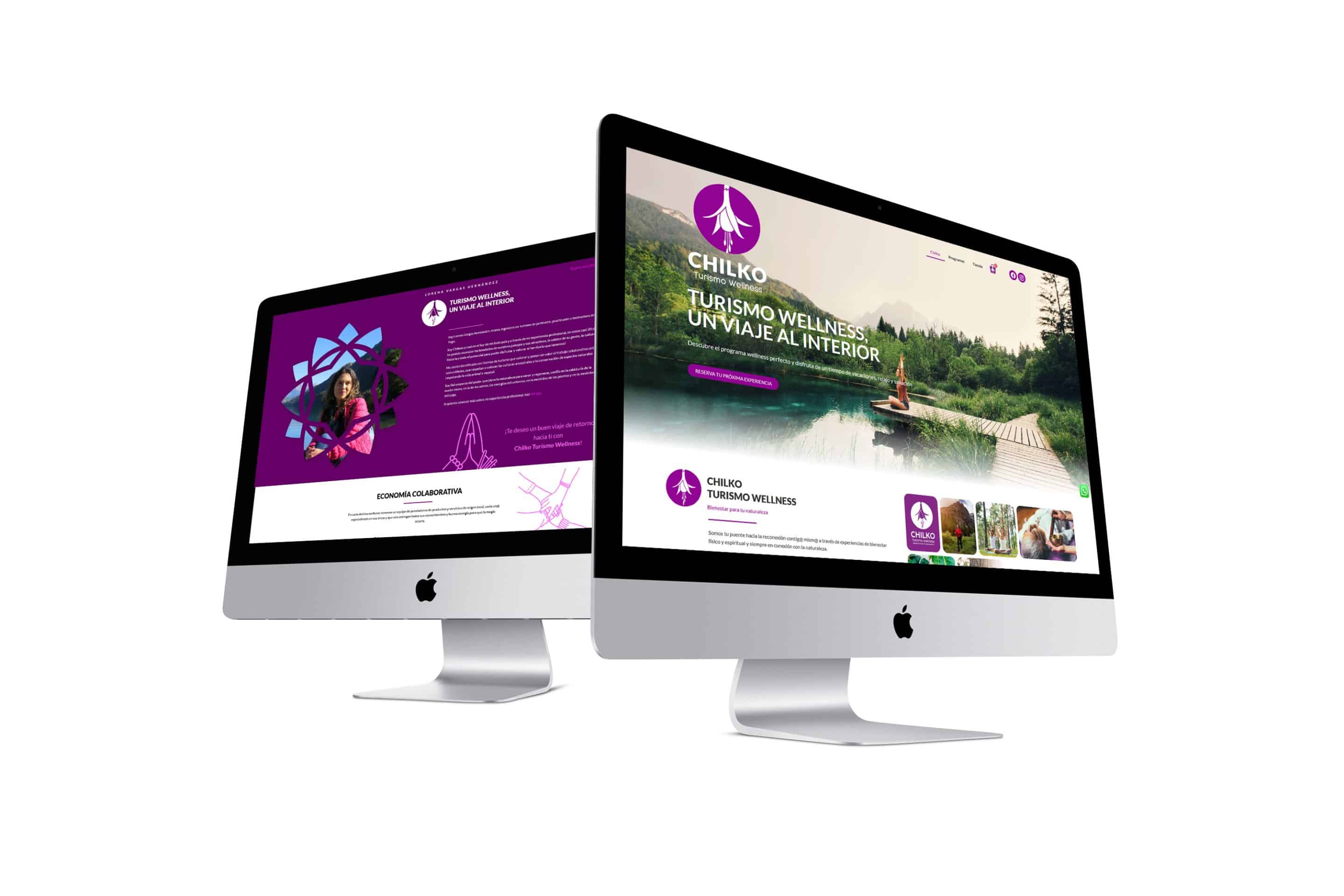 Doctor Marketing | chilko web portada portfolio scaled