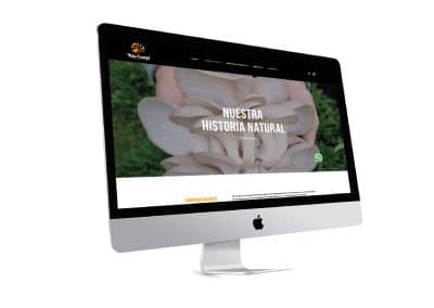 Doctor Marketing | rio fungi web escritorio portfolio 02
