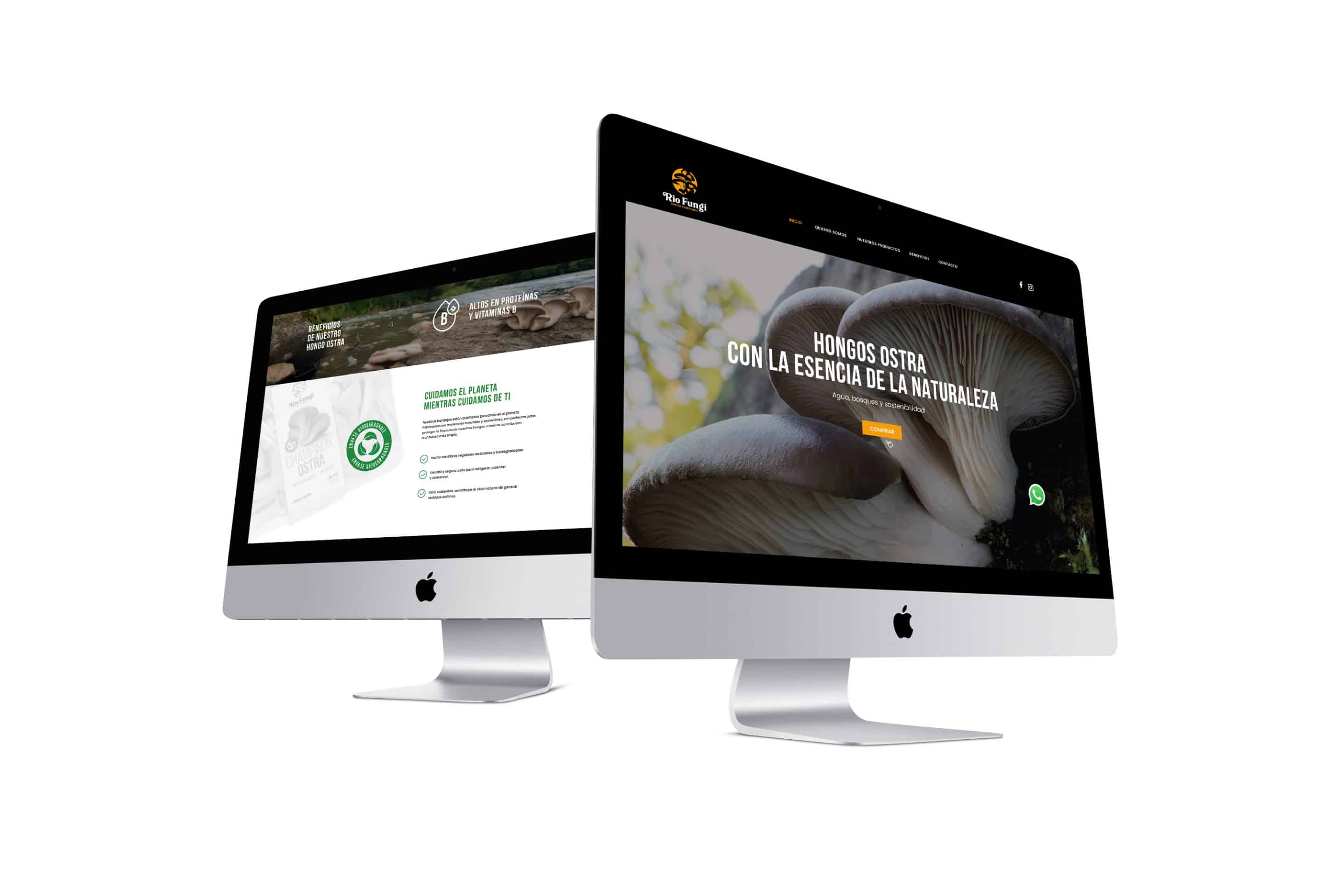 Doctor Marketing | rio fungi web portada portfolio scaled