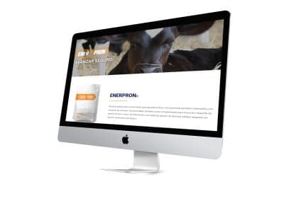 Enerpron Branding Sitio Corporativo