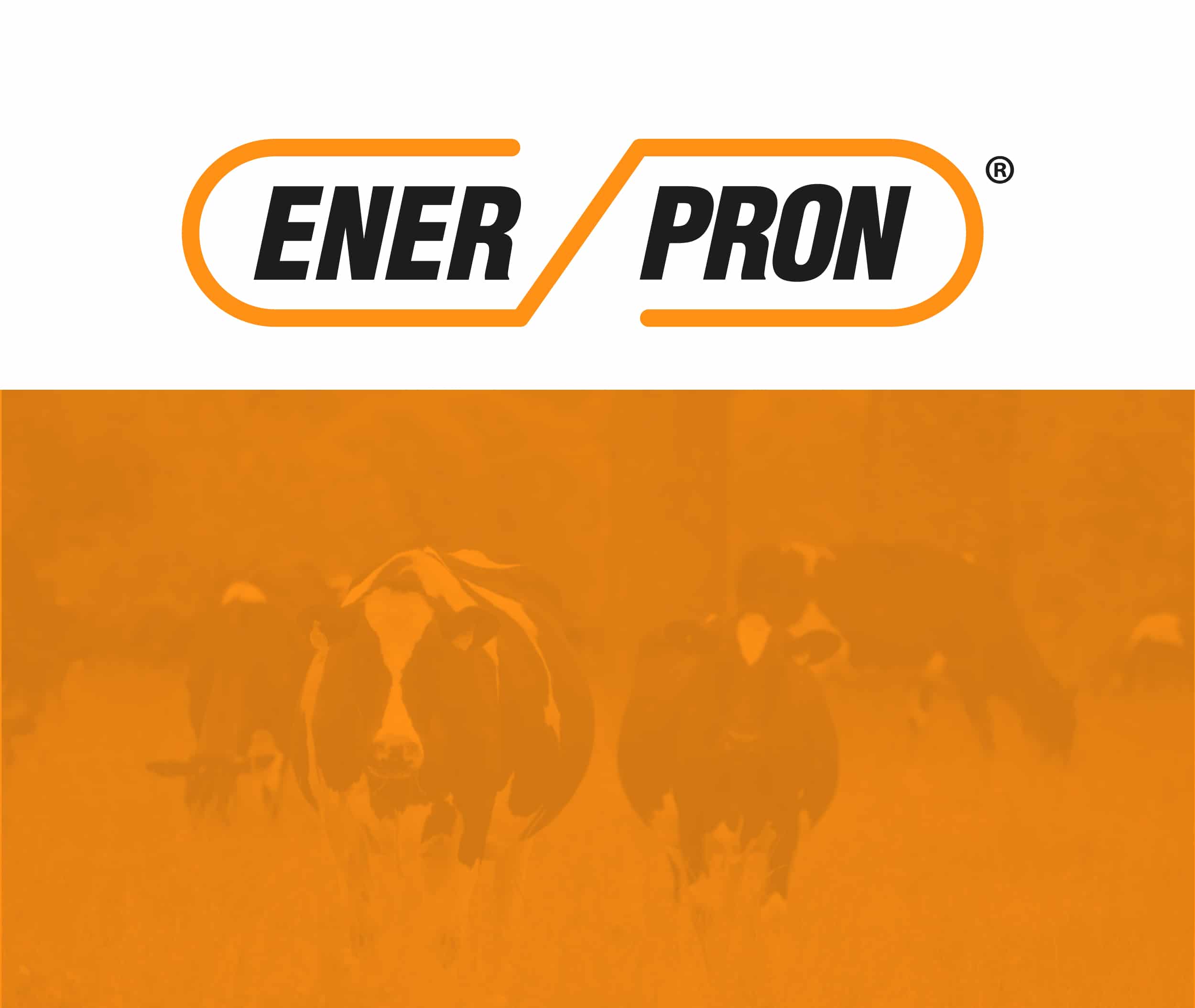 Enerpron Branding