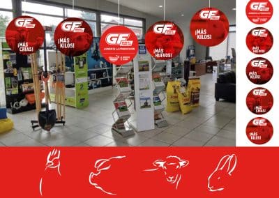 GF Branding Alimentos el Globo