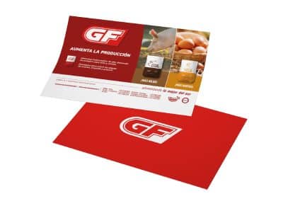 GF Branding Alimentos el Globo