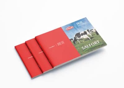 SALFORT Branding Portfolio Revista