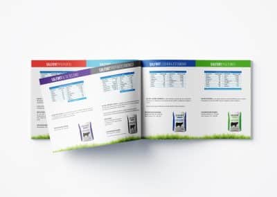 SALFORT Branding Portfolio Revista