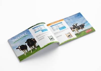 SALFORT Branding Portfolio Revista