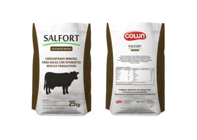 SALFORT Branding Portfolio Saco