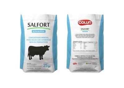 SALFORT Branding Portfolio Saco