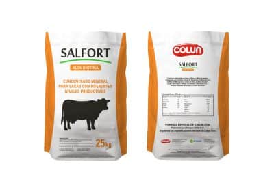 SALFORT Branding Portfolio Saco