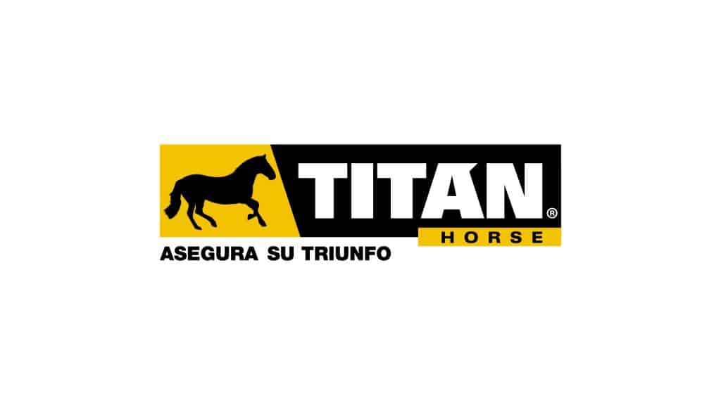 TITANHORSE Branding Portfolio Imagen-destacada
