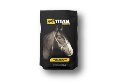 TITANHORSE Branding Portfolio Saco